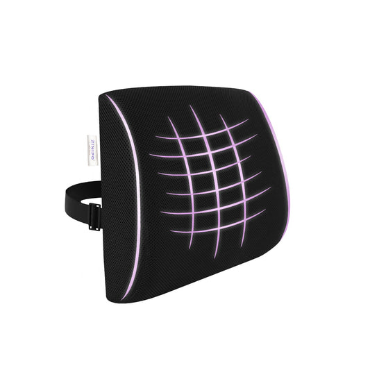 Rinipo Lumbar Support Memory Foam Pillow for Office Chair, Car & Couch