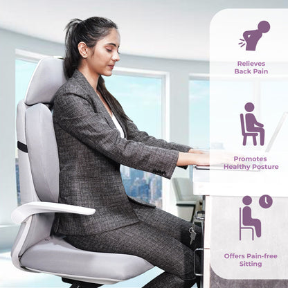 Dual Wing Back Support Pillow