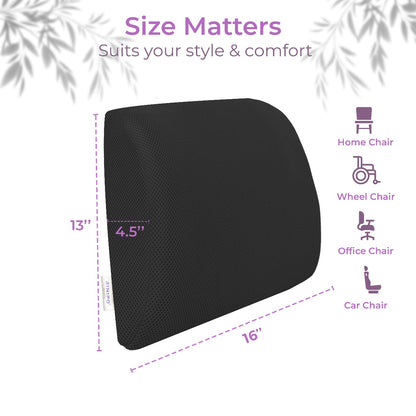 Rinipo Lumbar Support Memory Foam Pillow for Office Chair, Car & Couch