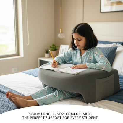 Lap Desk Pillow
